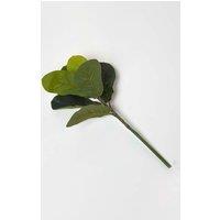 Homescapes Artificial Ficus Branch, 46 cm in Green