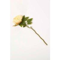 Homescapes Artificial Stem of Dried Peony Flowers in Yellow