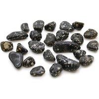 KDMD Small African Tumble Stones - Guinea Fowl - (Set of 24) in Black