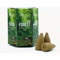 KDMD Pack of 10 Masala Backflow Incense - Rain Forest in Green