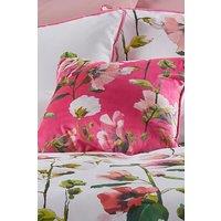 Soiree 'Layla' Velvet Filled Cushion in Pink | Size: 43 cm x 43 cm