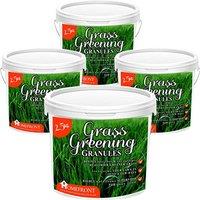 Homefront Grass Greening Granules Lawn Fertiliser - Strengthens & Greens Grass 2.5kg x4 in Green
