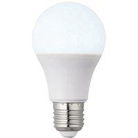 Loops 10W E27 GLS Light Bulb - 6000k Daylight White Temp - Indoor/Outdoor LED Lamp
