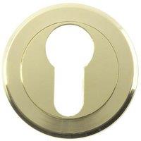 Loops 50mm Euro Profile Round Escutcheon Beveled Edge Concealed Fix Stainless Brass in Metallics