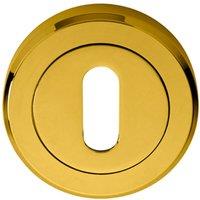 Loops 51mm Lock Profile Escutcheon Chamfered Edge Concealed Fix Stainless Brass in Metallics