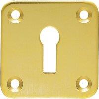 Loops Standard Lock Profile Open Escutcheon 50 x 50mm Polished Brass Keyhole Cover in Metallics