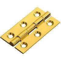 Loops PAIR 50 x 28 x 1.5mm Cabinet Hinge Polished Brass Small Cupboard Door in Metallics