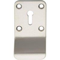 Loops Standard Lock Cylinder Pull Handle 78.5 x 43mm Bright Stainless Steel in Metallics