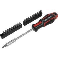 Loops 21 PACK Universal Screwdriver & Bit Set - Magnetic Hex Socket Head - All Types