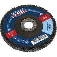 Loops 100mm Zirconium Flap Disc - 16mm Bore - Depressed Centre Disc - 60 Grit