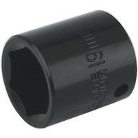 Loops 19mm Forged Impact Socket - 3/8 Inch Sq Drive - Chrome-Vanadium Wrench Socket
