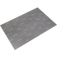 Loops 10 PACK - Mesh Orbital Screen Sheets - 12 x 18 Inch - 100 Grit - Orbital Sander
