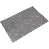 Loops 10 PACK - Mesh Orbital Screen Sheets - 12 x 18 Inch - 60 Grit - Orbital Sander
