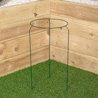 Samuel Alexander Tom Chambers Urban Metal Herbaceous Garden Plant Support Ring Medium 30cm x 50cm in Dark Green | Size: 30 cm x 50 cm