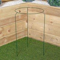 Samuel Alexander Tom Chambers Urban Metal Herbaceous Garden Plant Support Ring Large 40cm x 60cm in Dark Green | Size: 40 cm x 60 cm