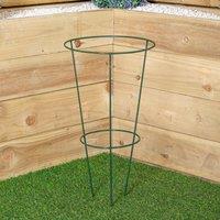 Samuel Alexander Tom Chambers Urban Green Conical Garden Plant Support Ring 30cm - Medium in Dark Green