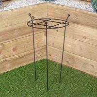 Samuel Alexander Tom Chambers Cottage Heavy Duty Black Metal Steel Herbaceous Garden Plant Support Grow Through Small 60cm x 35cm