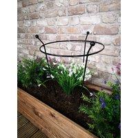 Samuel Alexander Small 60cm x 35cm Heavy Duty Black Steel Herbaceous Garden Plant Support Ring | Size: 60 cm x 35 cm