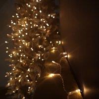 Samuel Alexander 10m Multi Function Battery Operated Vintage Gold LED Fairy Lights Christmas Decorations with Timer