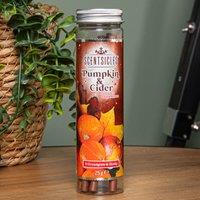 Samuel Alexander 25g Pumpkin & Cider Scented Christmas Scentsicles with 6 Hanging Hooks in Orange