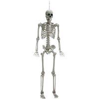 Samuel Alexander 5ft Halloween Skeleton with Poseable Joints & Green LEDs in Beige