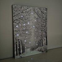 Samuel Alexander 40 x 30cm Battery Operated Light up Fibre Optic Winter Avenue Christmas Wall Canvas in White | Size: 40 x 30 cm