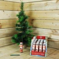 Samuel Alexander 25g Spiced Pine Cones Scented Christmas Scentsicles with 6 Hanging Hooks in Green