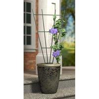 Primrose Metal Fan Design Potted Plant Support in Green 91cm