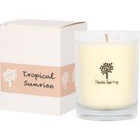 Nicola Spring 160g Soy Wax Scented Candle - Tropical Sunrise - Aromatherapy Jar Candle in Clear