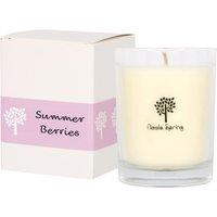Nicola Spring 160g Soy Wax Scented Candle - Summer Berries - Aromatherapy Jar Candle in Clear