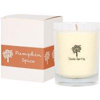 Nicola Spring 160g Soy Wax Scented Candle - Pumpkin Spice - Aromatherapy Jar Candle in Clear