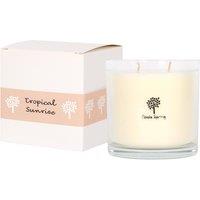 Nicola Spring 400g Soy Wax Scented Candle - Tropical Sunrise - Aromatherapy Jar Candle in Clear