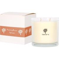 Nicola Spring 400g Soy Wax Scented Candle - Pumpkin Spice - Aromatherapy Jar Candle in Clear