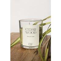 Marco Paul Cedarwood Strong Scented Candle Jar Candle Home Fragrance in Green