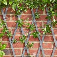 Marco Paul 1.8m Grey Wooden Expandable Trellis for Garden Plants