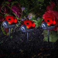 Marco Paul 3pck Solar Ladybird Stake Lights in Red