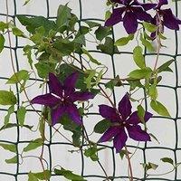 Marco Paul Climbing Plant & Fencing Garden Mesh Outdoor Indoor Fencing Plant Support in Black