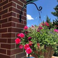 Marco Paul 16" Black Metal Hanging Basket Hook