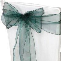 Neel Blue Set of 25 Organza Sashes Wider Fuller Bow for Party Decoration, 17cm x 280cm in Bright Green | Size: 17 cm x 280 cm