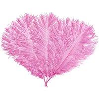 Neel Blue 5pcs Ostrich Feathers, Natural Plume, 35cm - 40cm in Baby Pink