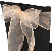 Neel Blue Set of 25 Organza Sashes Wider Fuller Bow for Party Decoration, 17cm x 280cm in Peach | Size: 17 cm x 280 cm
