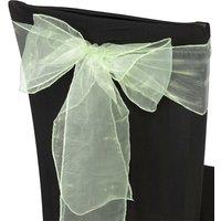 Neel Blue Set of 25 Organza Sashes Wider Fuller Bow for Party Decoration, 17cm x 280cm in Bottle Green | Size: 17 cm x 280 cm