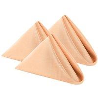 Neel Blue 20 Inch Polyester Table Napkins, Reusable, Wrinkle-Resistant Cloth Napkins, 10pcs in Peach