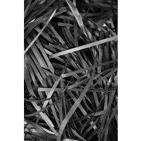 Neel Blue Shredded Tissue Paper, Decorative Gift Packaging Hamper Filler - 200g in Black