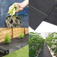 Gr8 Garden