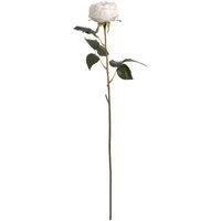 Hill Interiors Artificial Austin Rose in Off-White