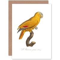 Artery8 Yellow Amazon Bird Greetings Card
