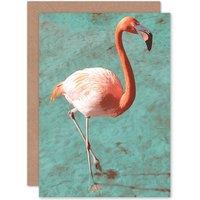Artery8 Flamingo On Blue Greetings Card