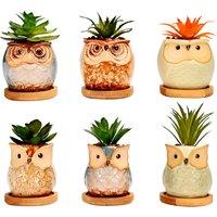 simpa 6PC Assorted Shaped Owl Ceramic Plant Pots with Bamboo Base