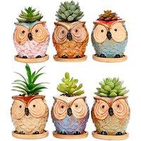 simpa 6PC Big Eye Owl Ceramic Plant Pots with Bamboo Base